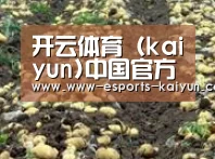 种植基地八(图1)