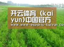 种植基地四