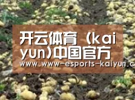 种植基地七