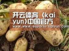 产品展示标题2