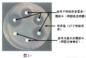 开云电竞