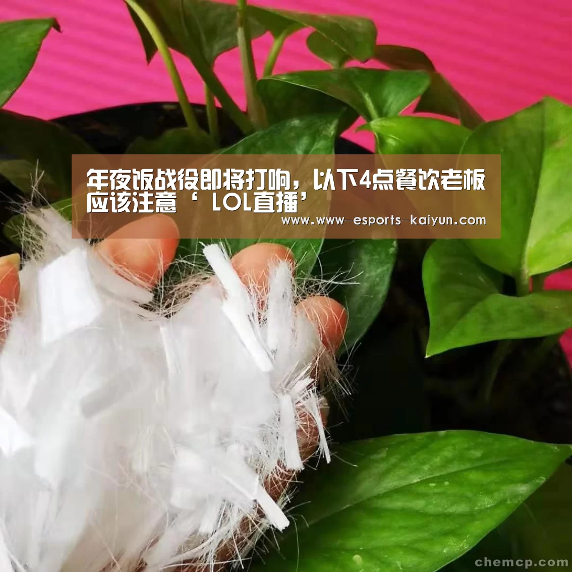 开云电竞