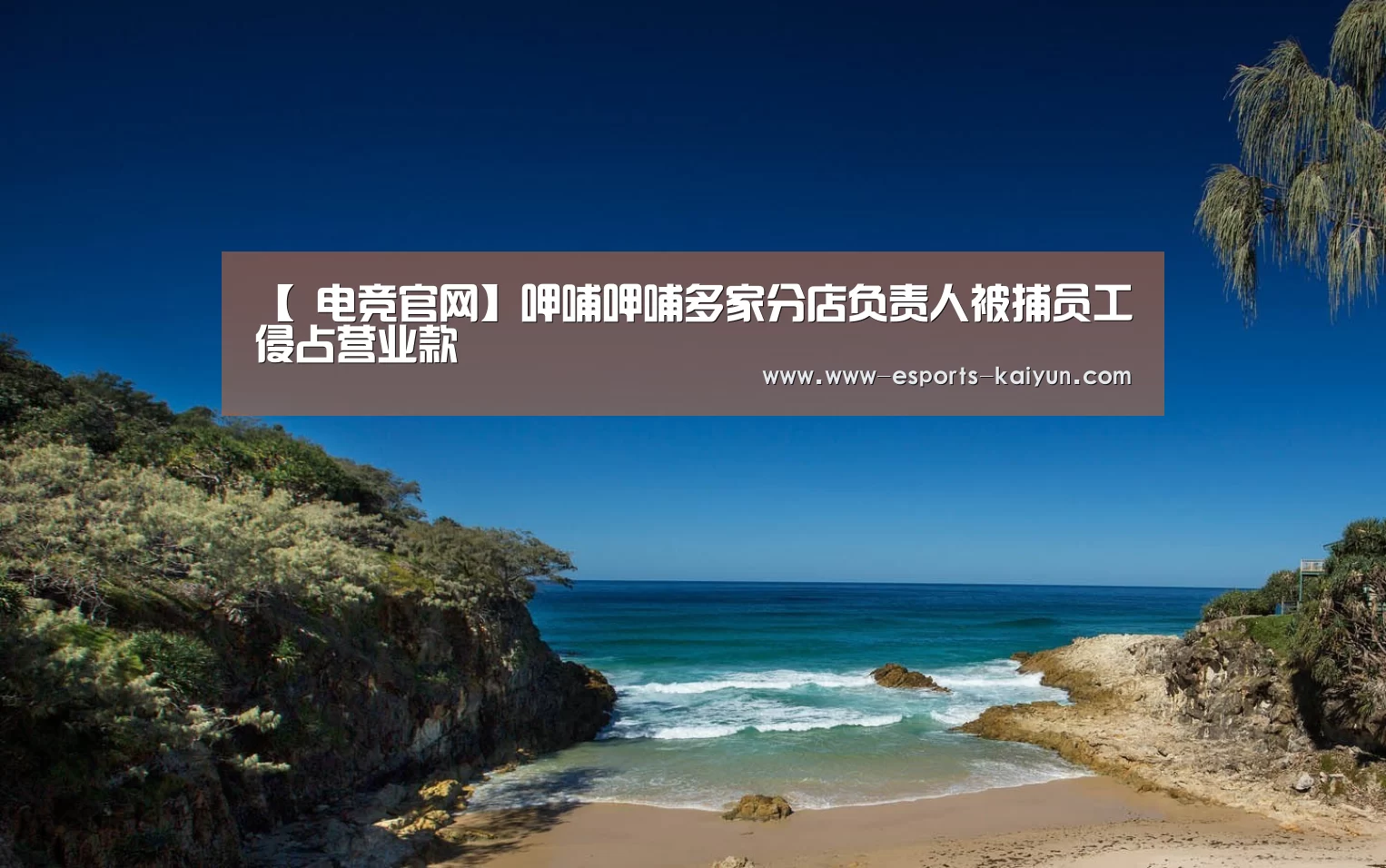 【 电竞官网】呷哺呷哺多家分店负责人被捕员工侵占营业款(图3) 电竞官网